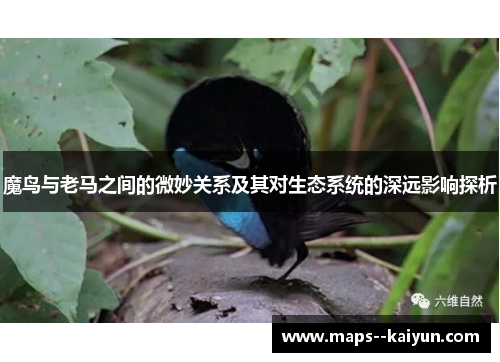魔鸟与老马之间的微妙关系及其对生态系统的深远影响探析